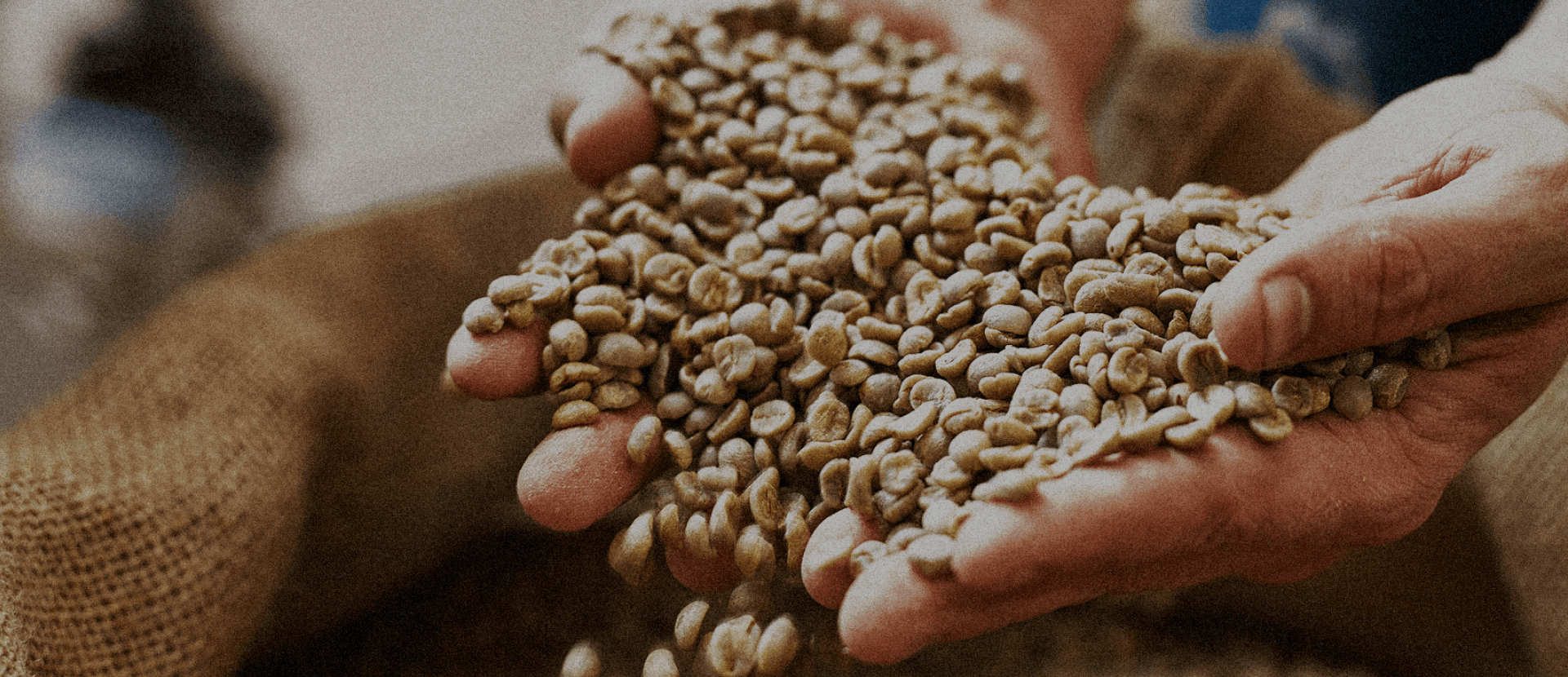 Premium Lampung Robusta Coffee