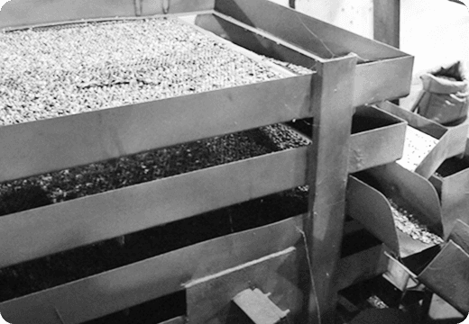 Color Sorter Process