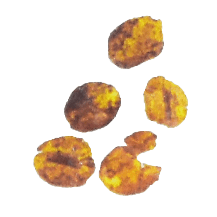 Large Parchment Fragment