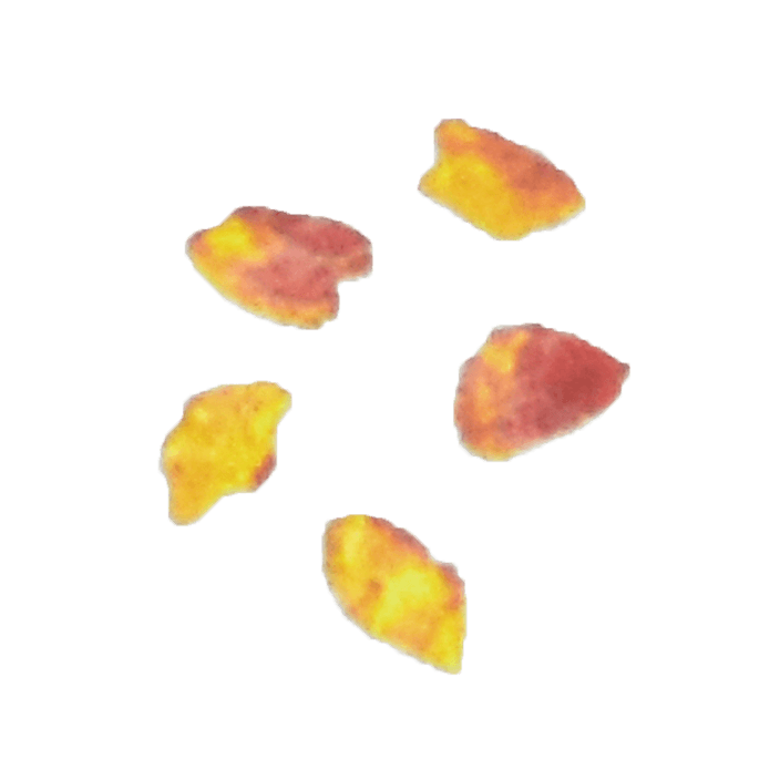 Small Parchment Fragment