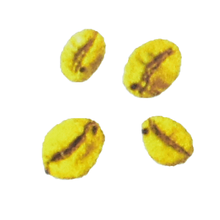 Beans with One Hole, Wet Processed