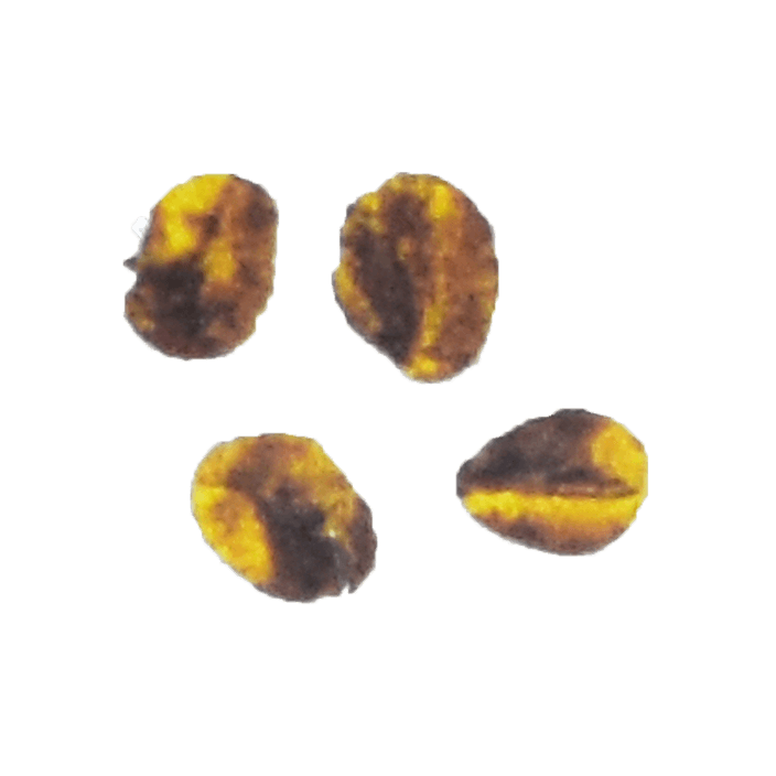 Party Black Bean, Drt Processed