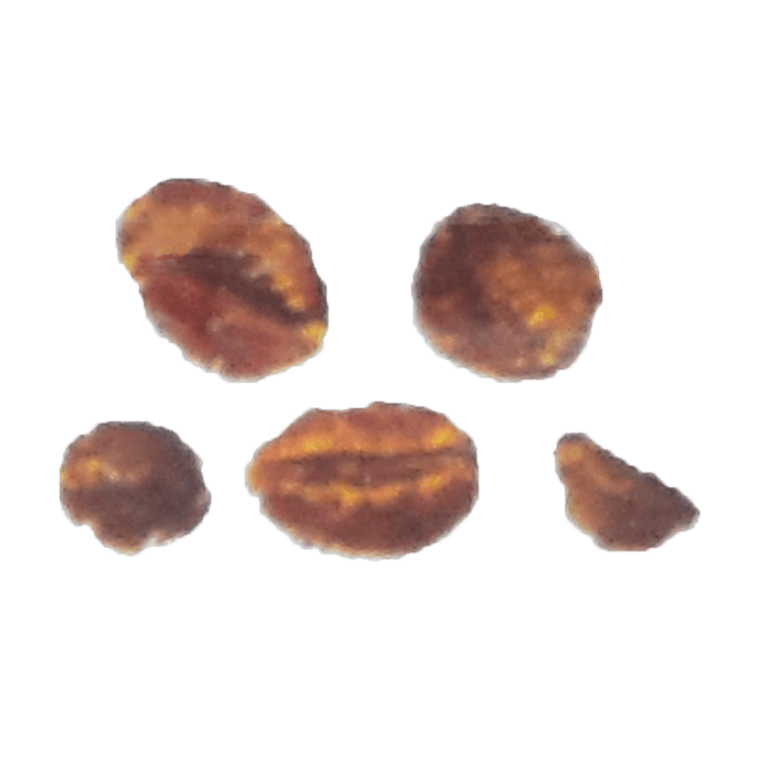 Medium Husk Fragment