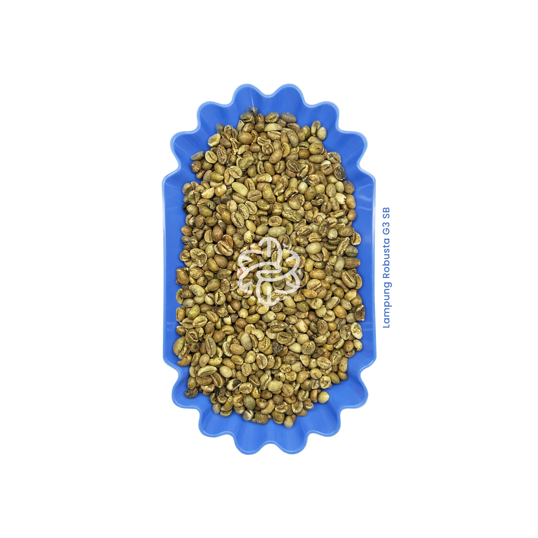 Lampung Robusta G3 SB