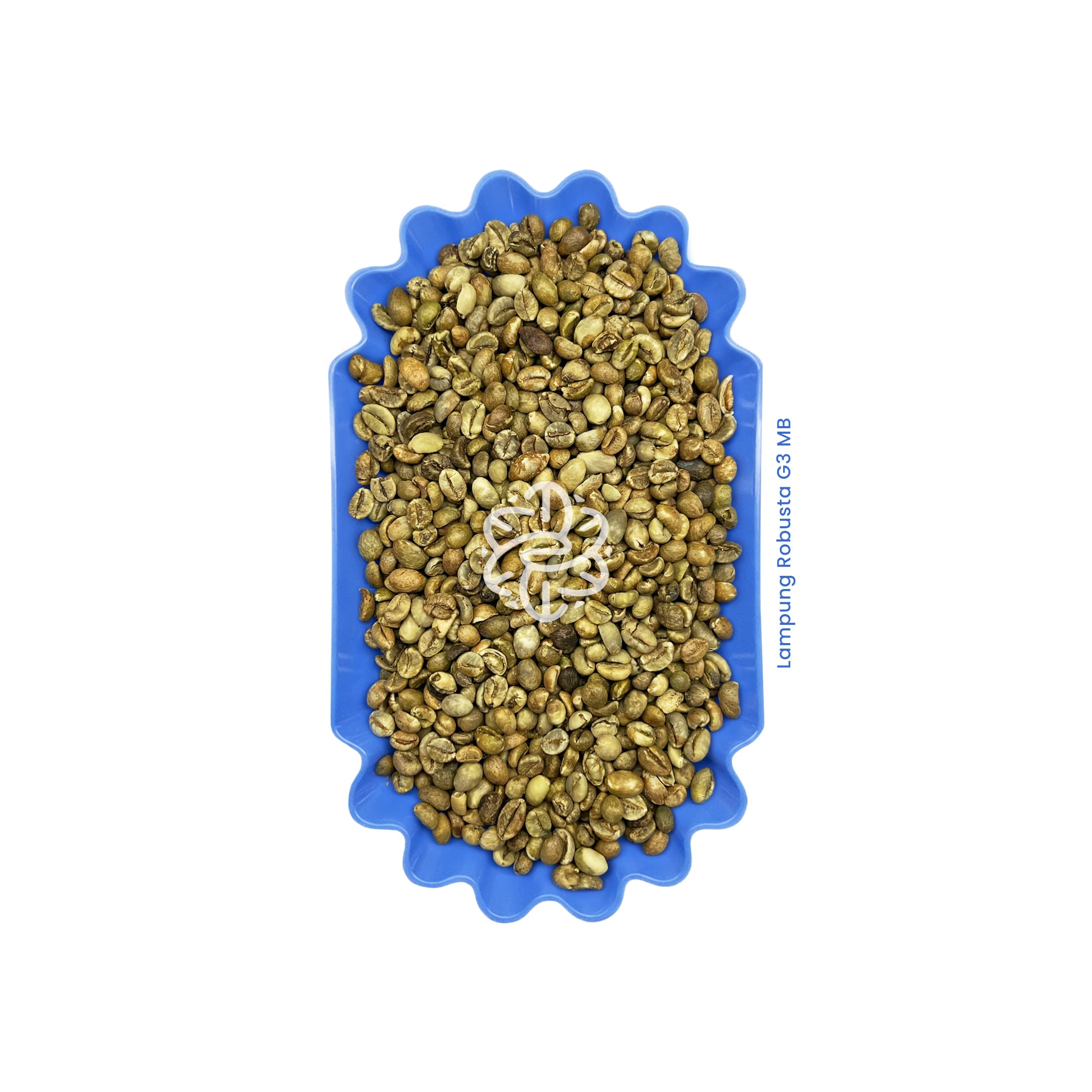 Lampung Robusta G3 MB