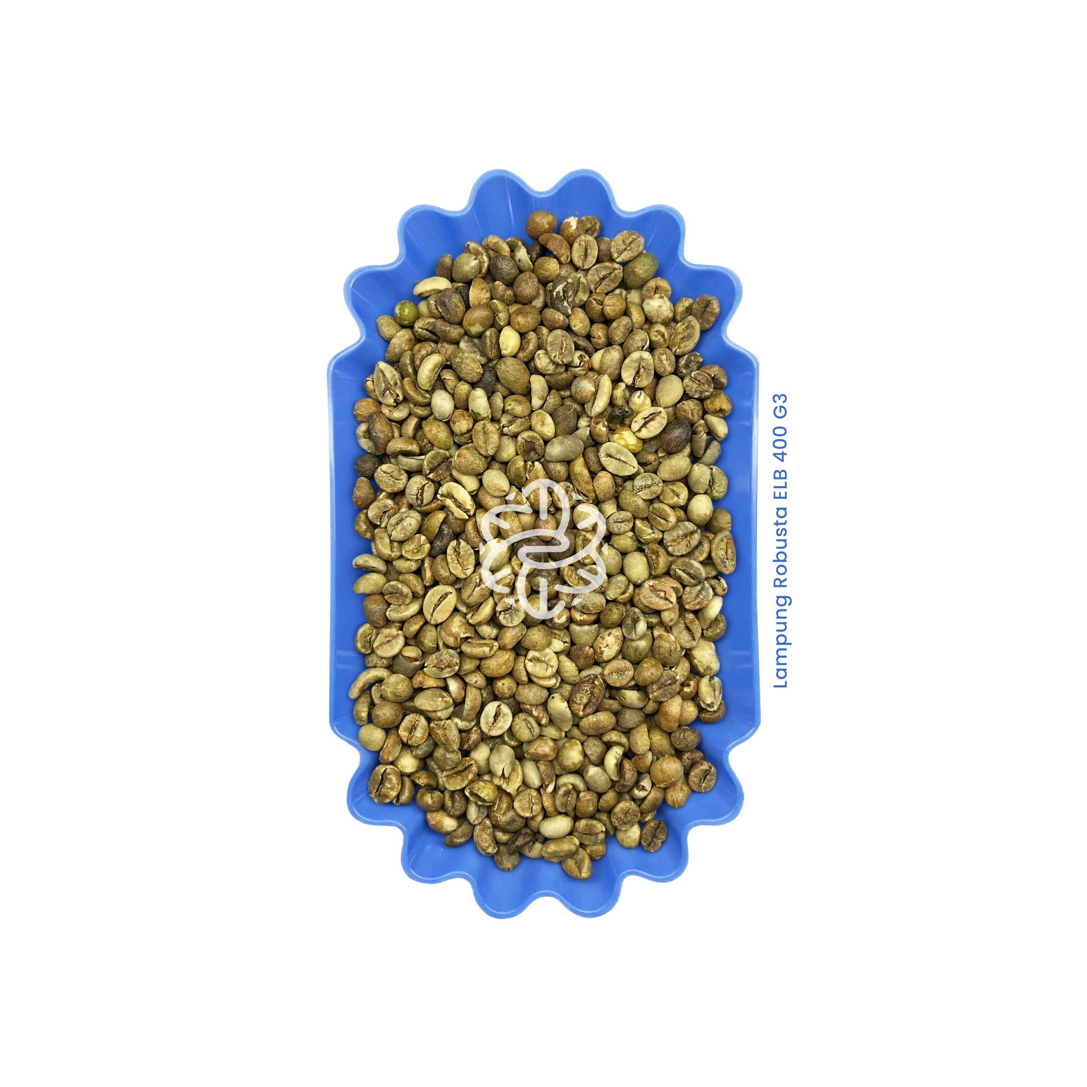 Lampung Robusta ELB 400 G3