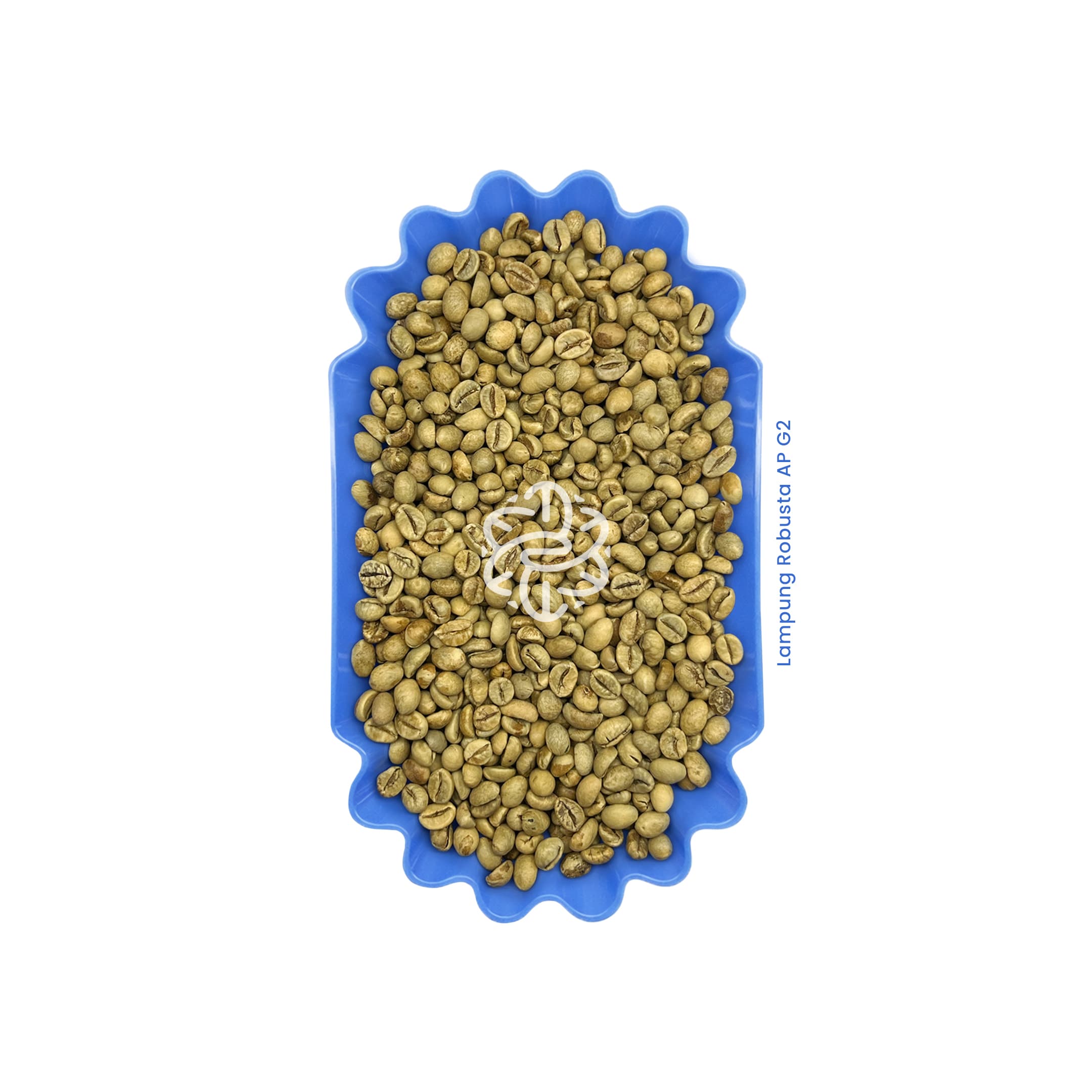 Lampung Robusta AP G2