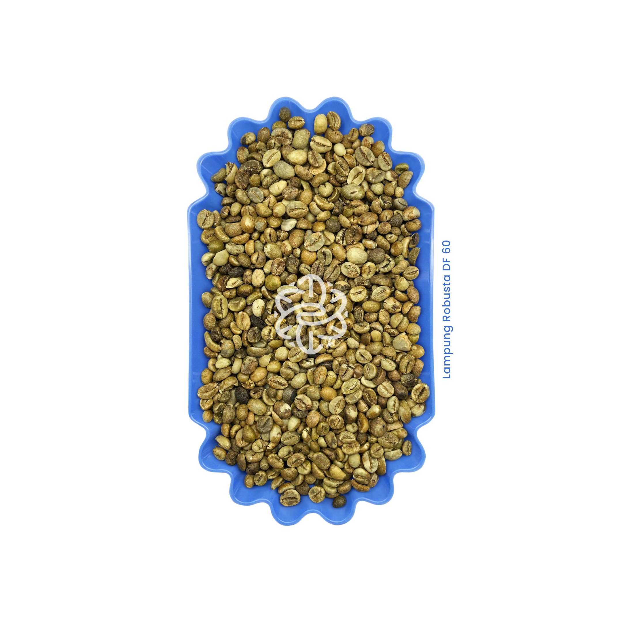 Lampung Robusta DF 60