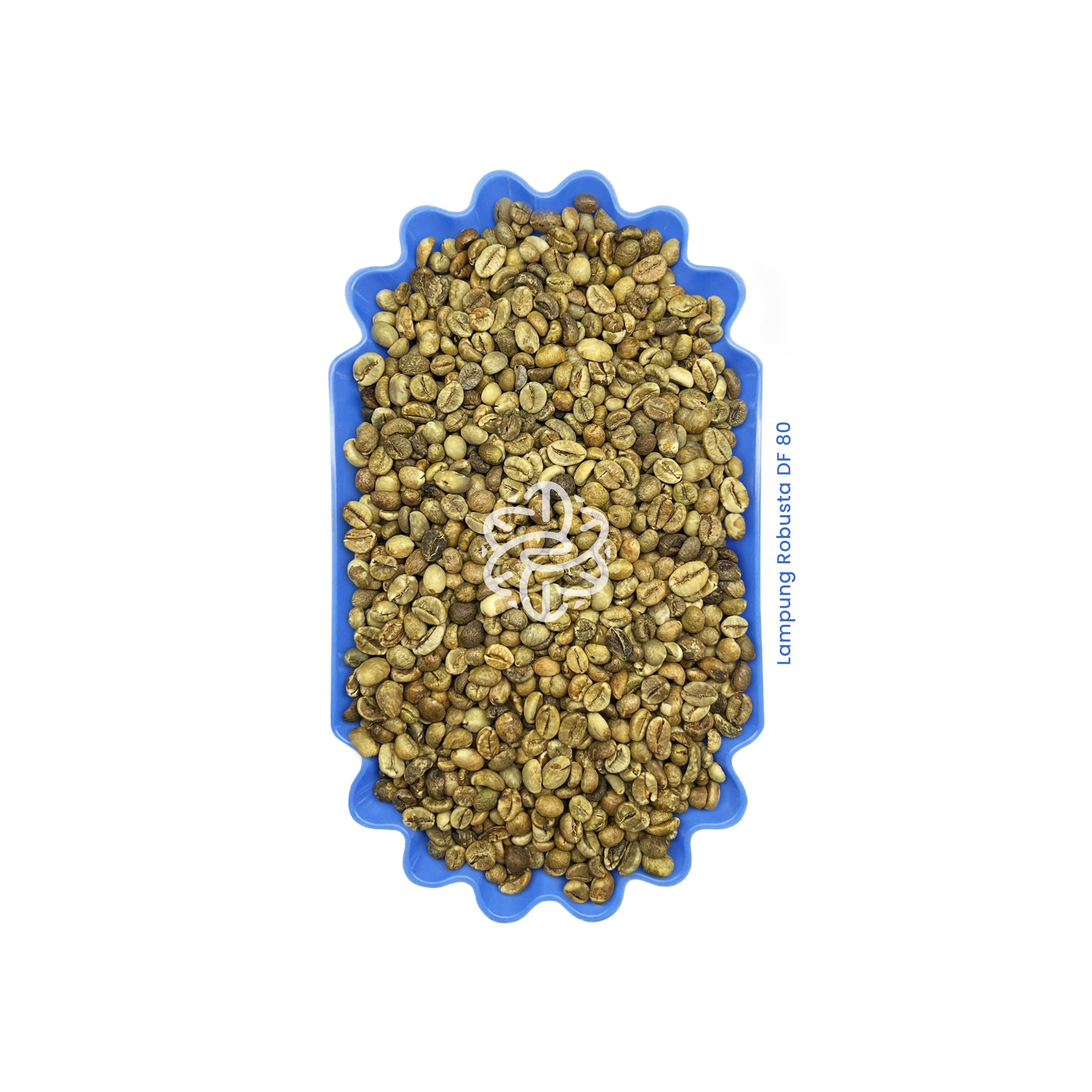Lampung Robusta DF 80