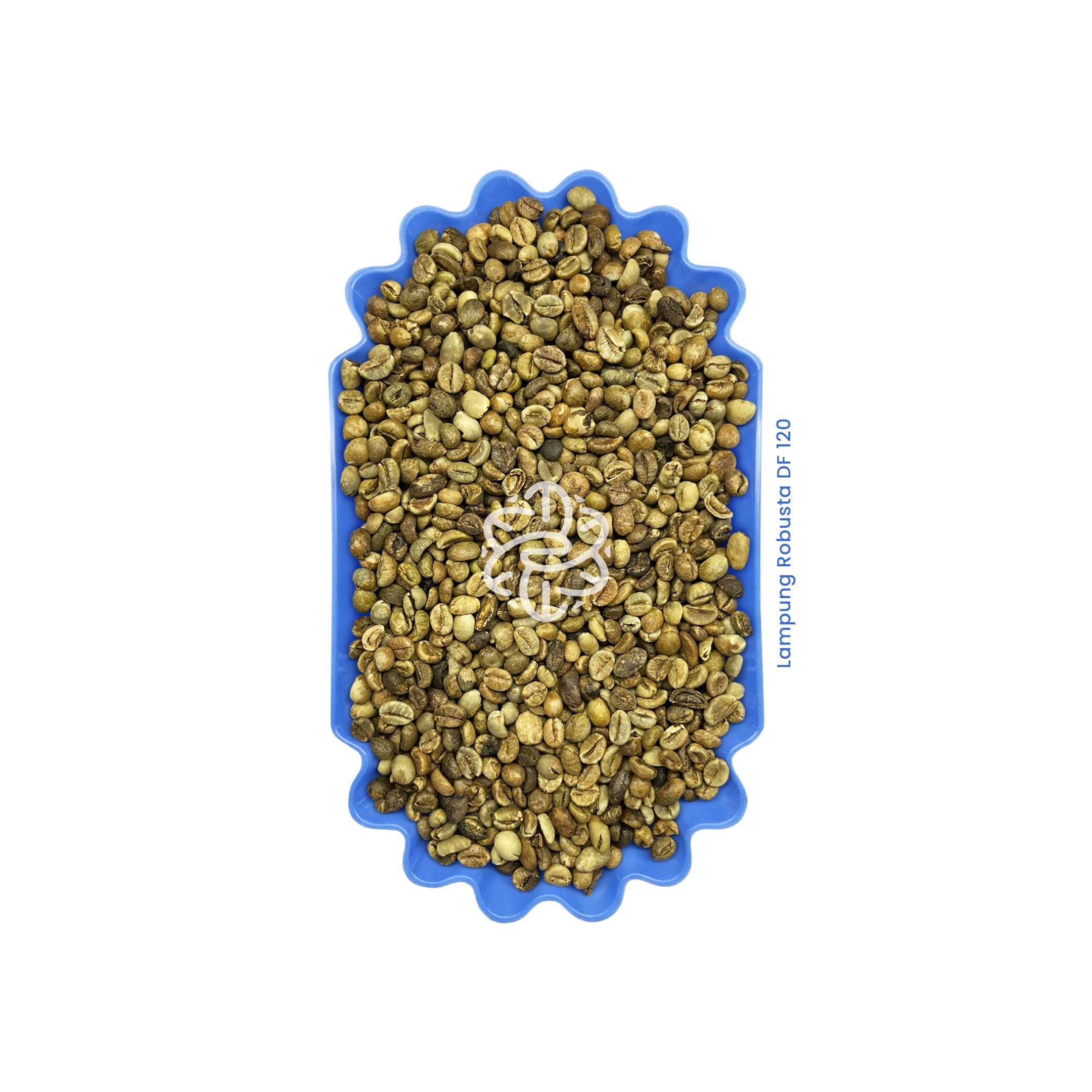 Lampung Robusta DF 120