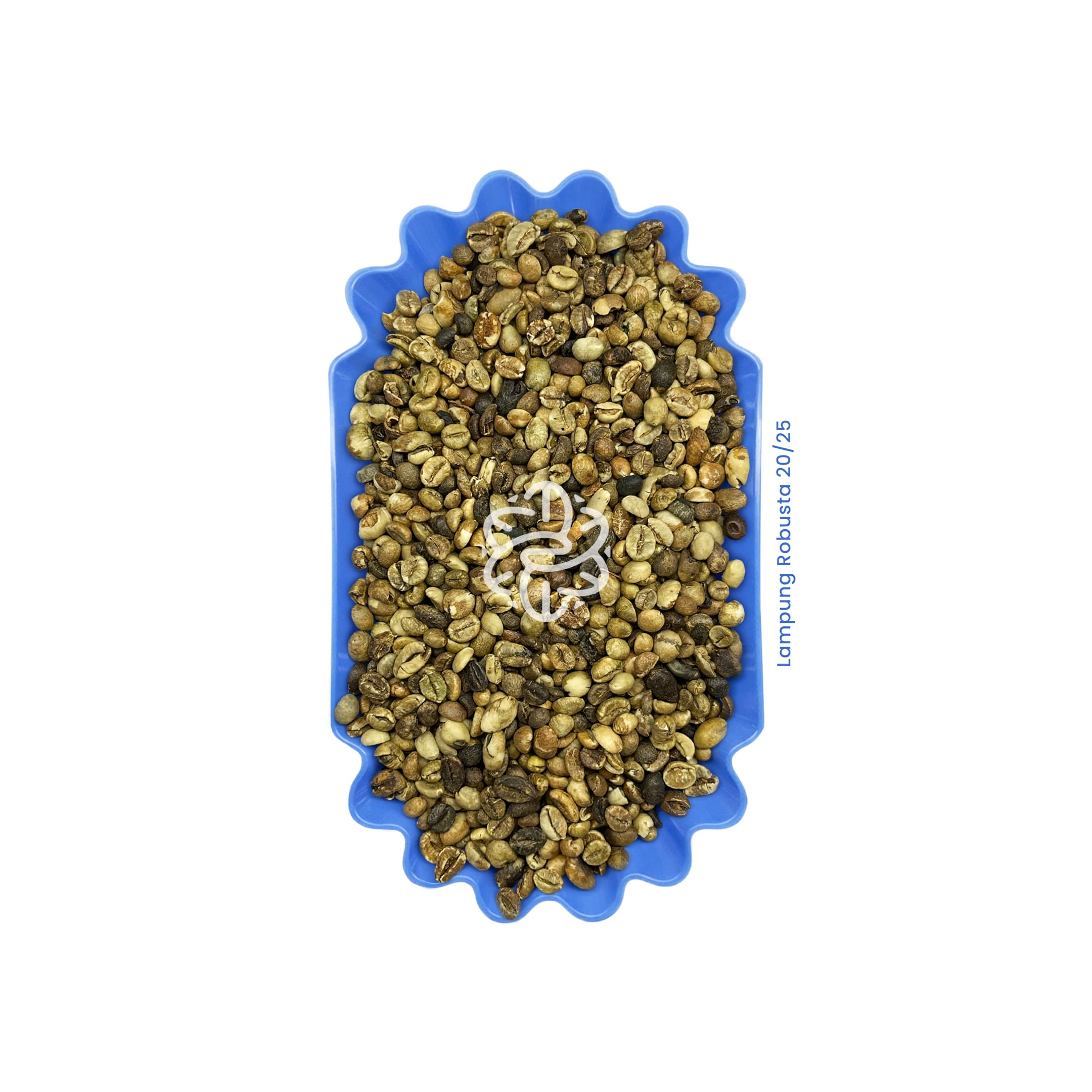 Lampung Robusta 20/25