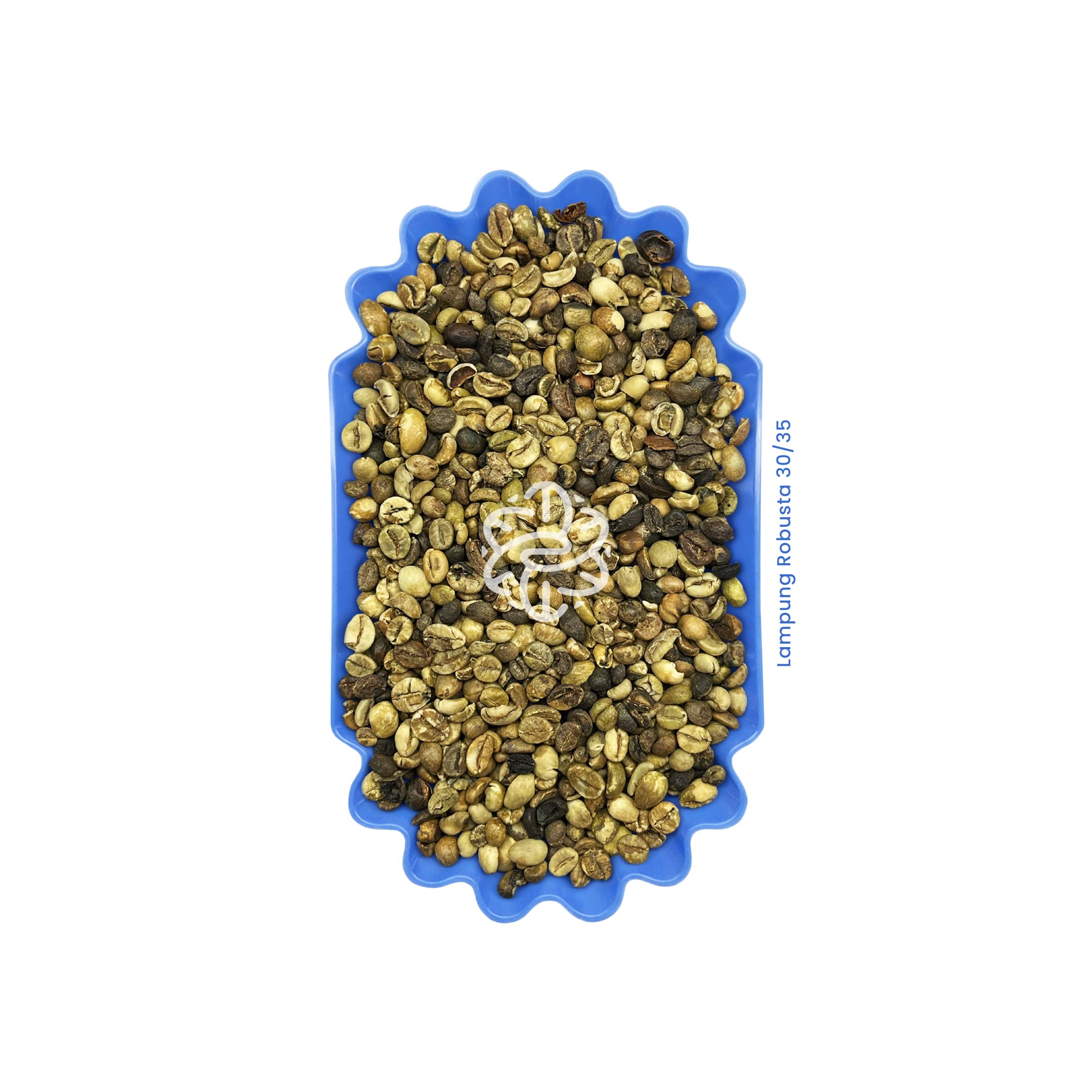 Lampung Robusta 30/35