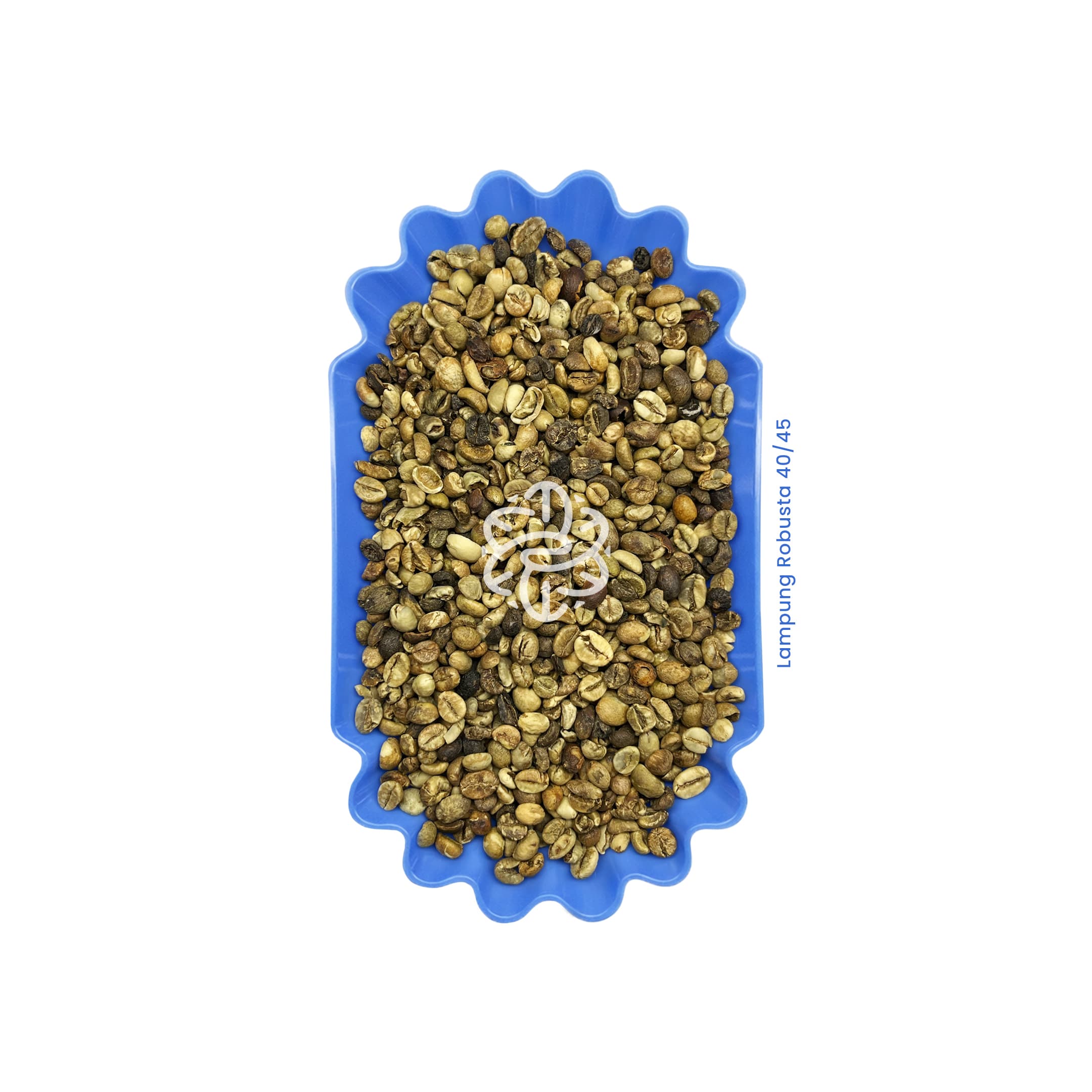 Lampung Robusta 40/45