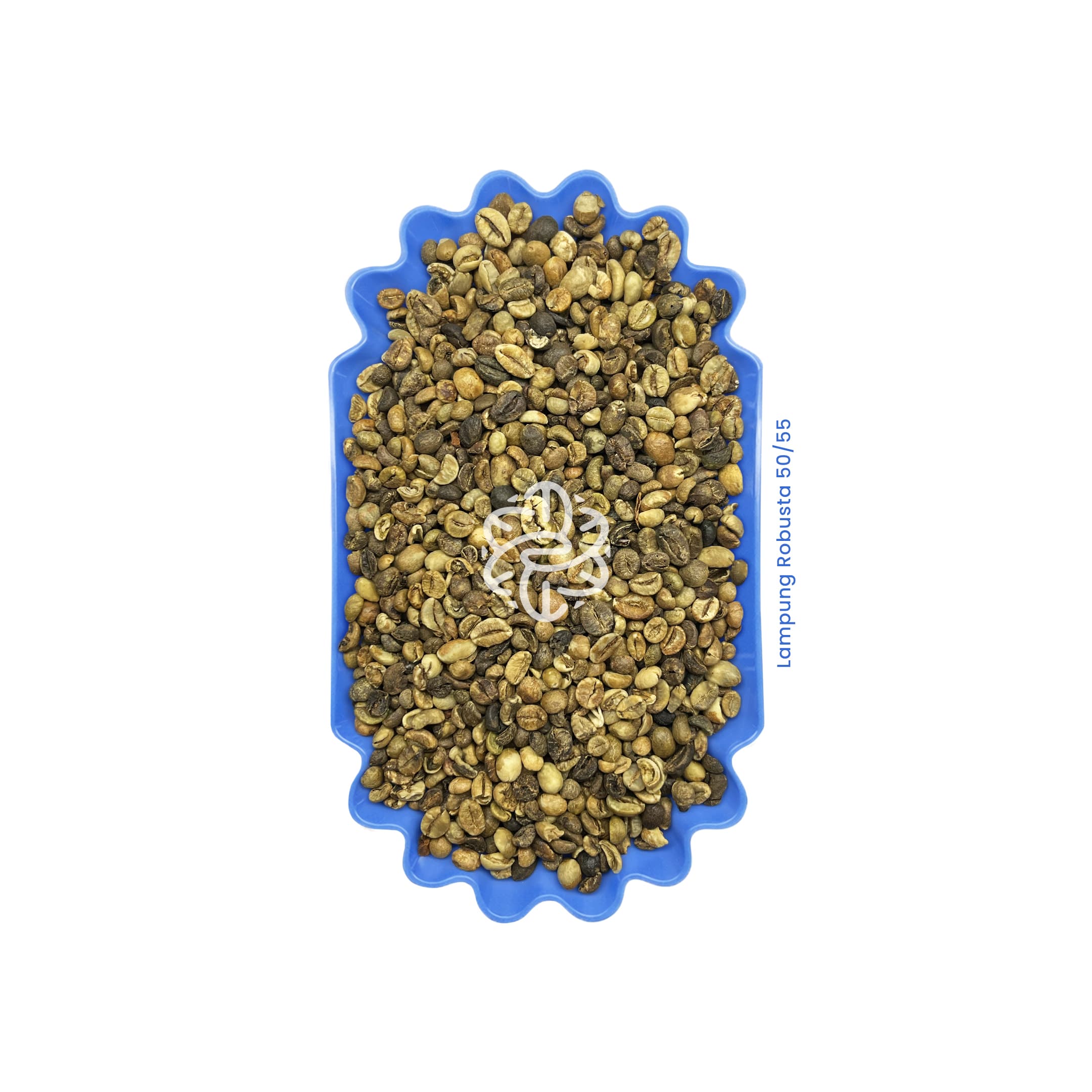 Lampung Robusta 50/55