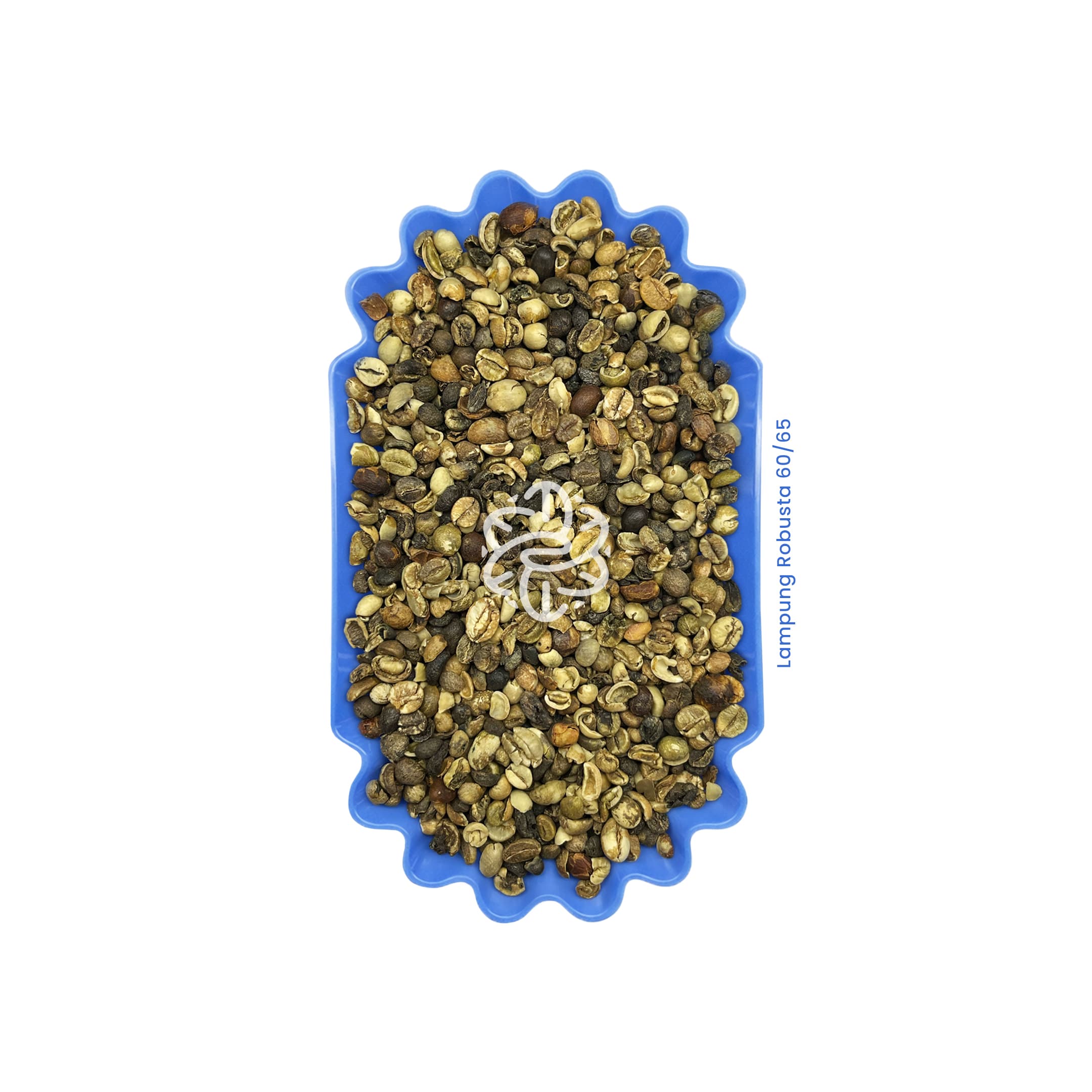 Lampung Robusta 60/65