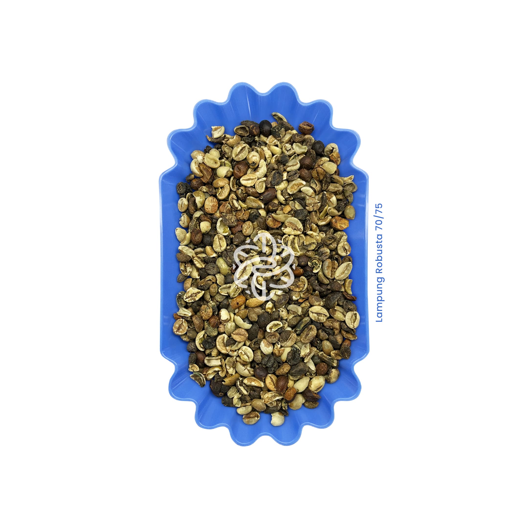 Lampung Robusta 70/75