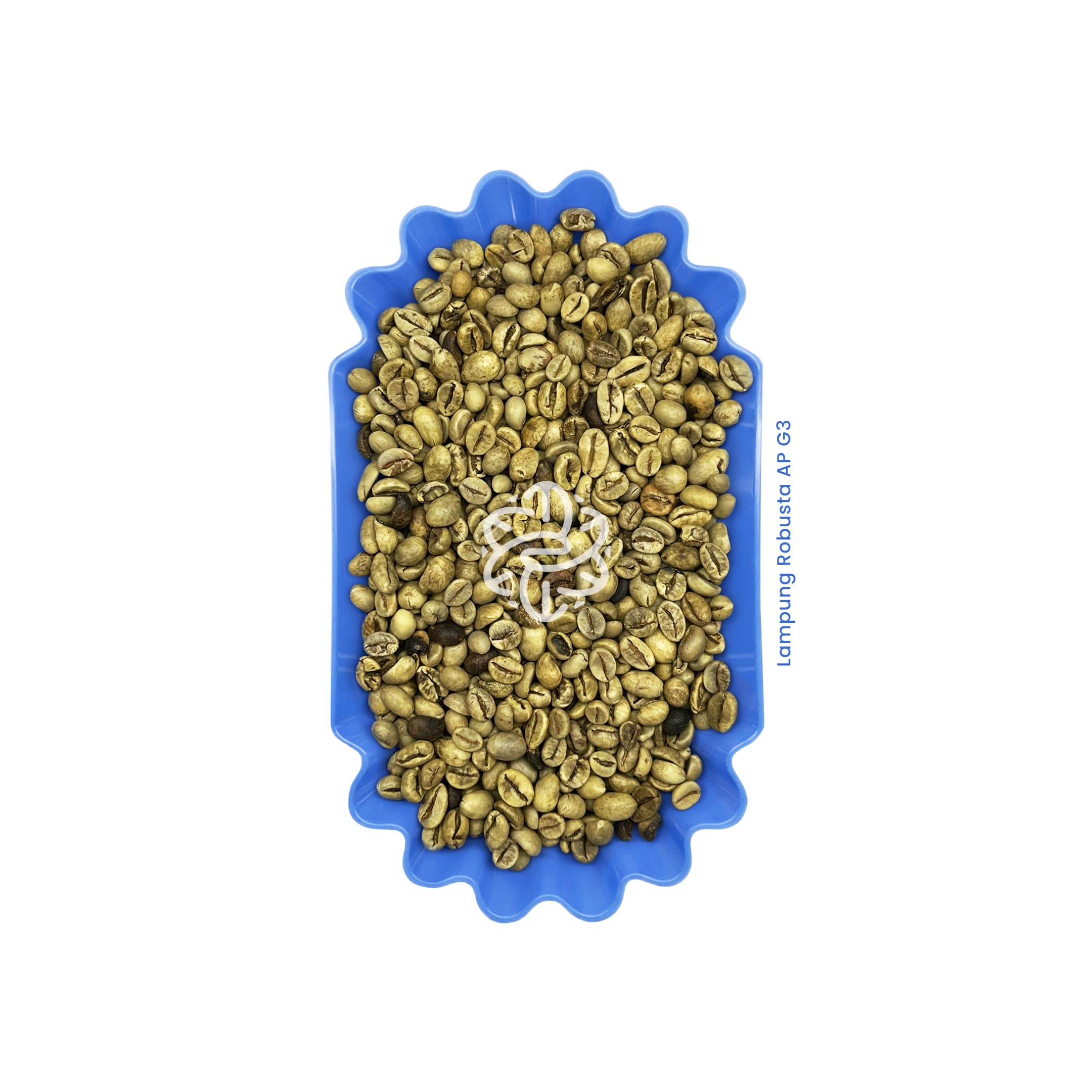 Lampung Robusta AP G3