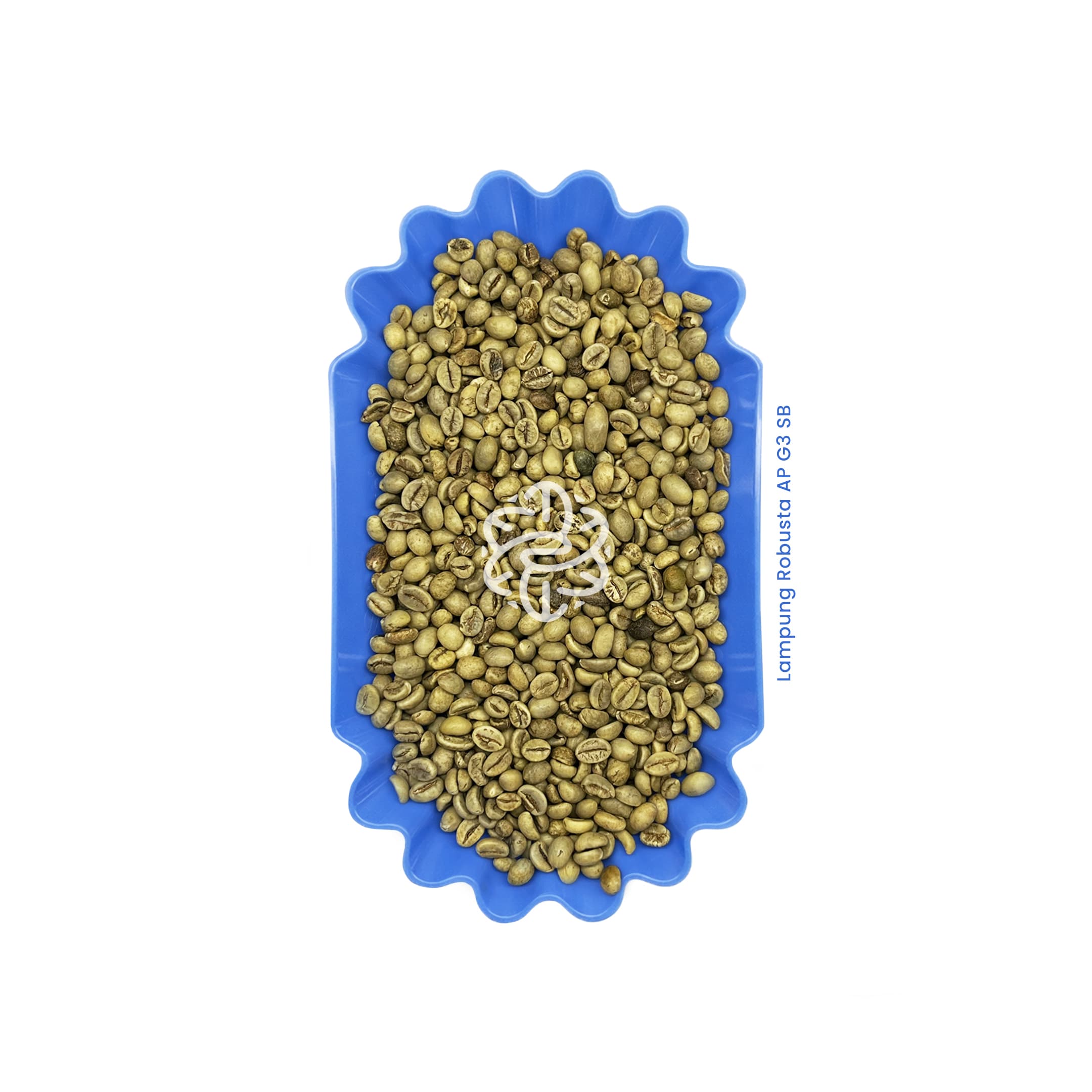 Lampung Robusta AP G3 SB