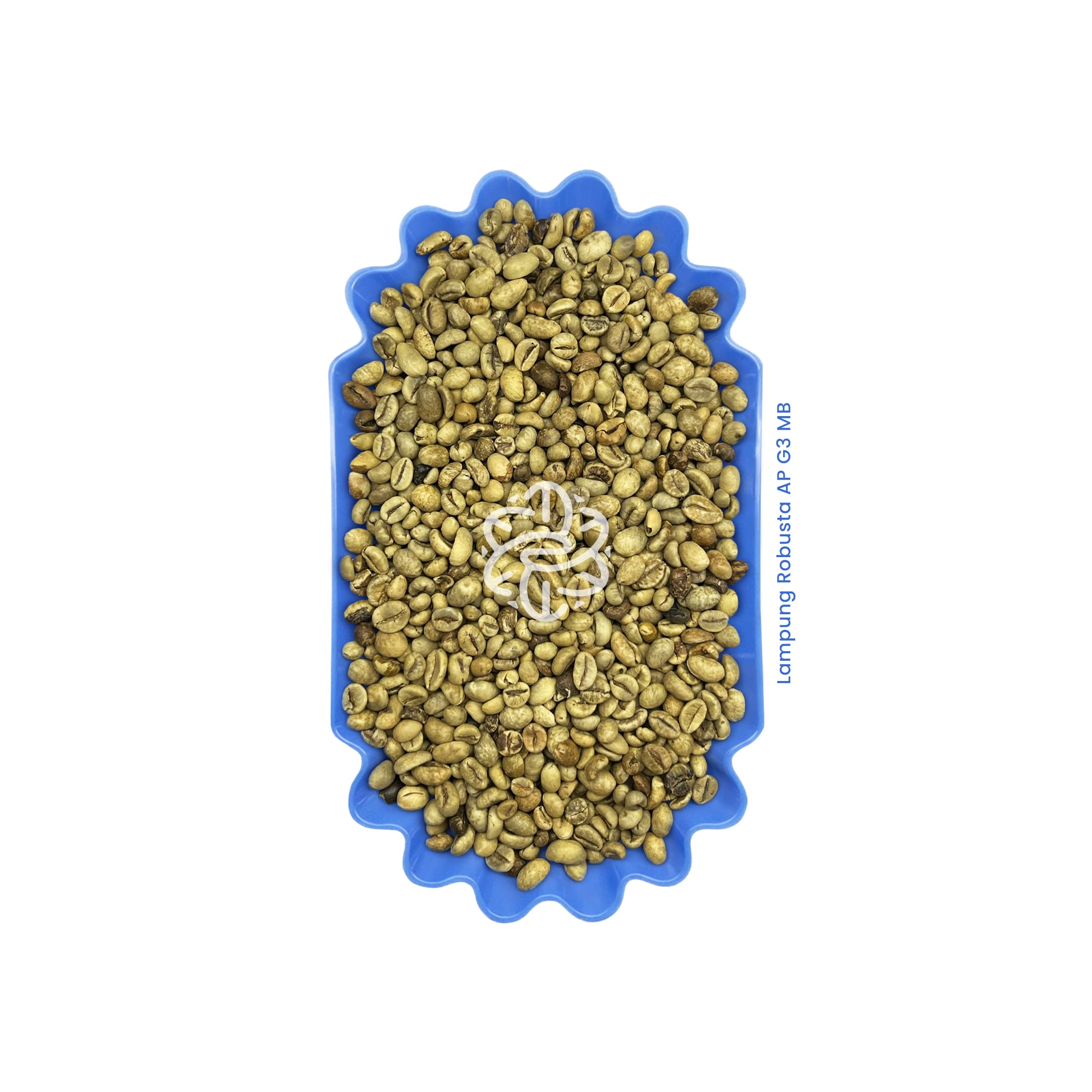 Lampung Robusta AP G3 MB