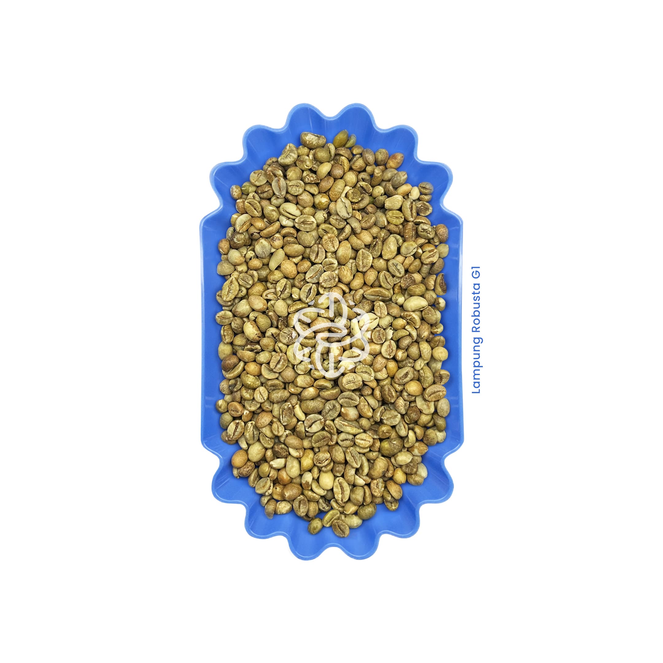 Lampung Robusta G1