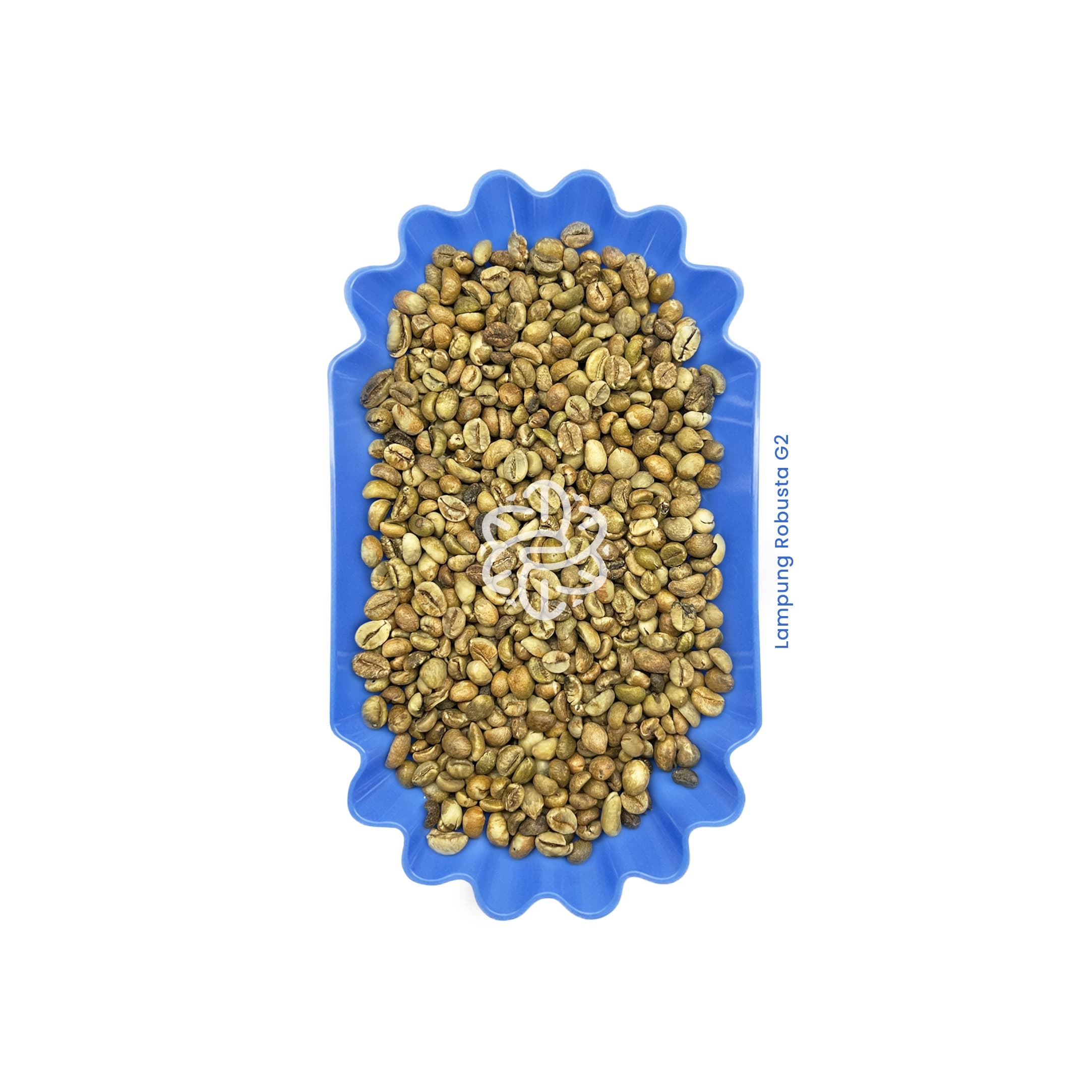Lampung Robusta G2