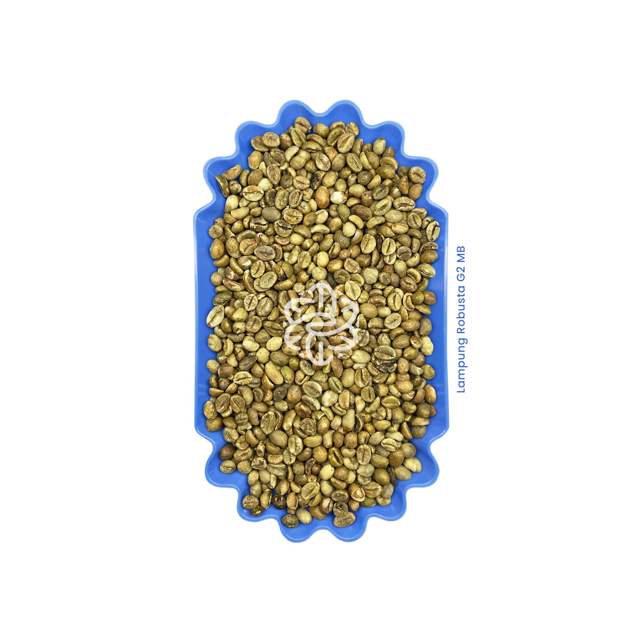 Lampung Robusta G2 MB