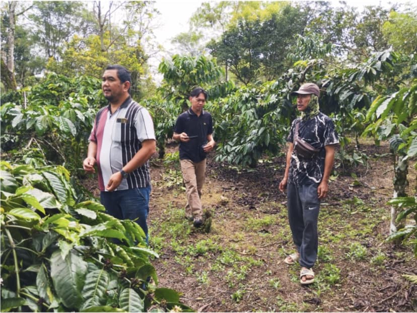 Visiting demplot farm sample
